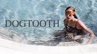 Dogtooth Poster Landscape Image