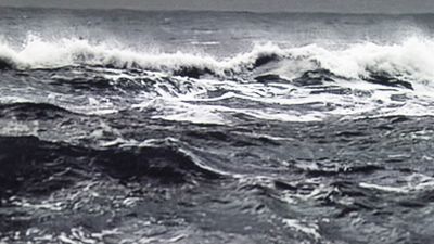 Woolf Works Poster Image