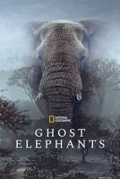 Ghost Elephants in English at cinemas in Paris