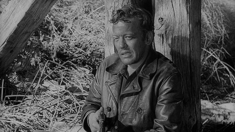The Hitch-Hiker Backdrop Image