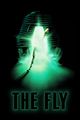 The Fly