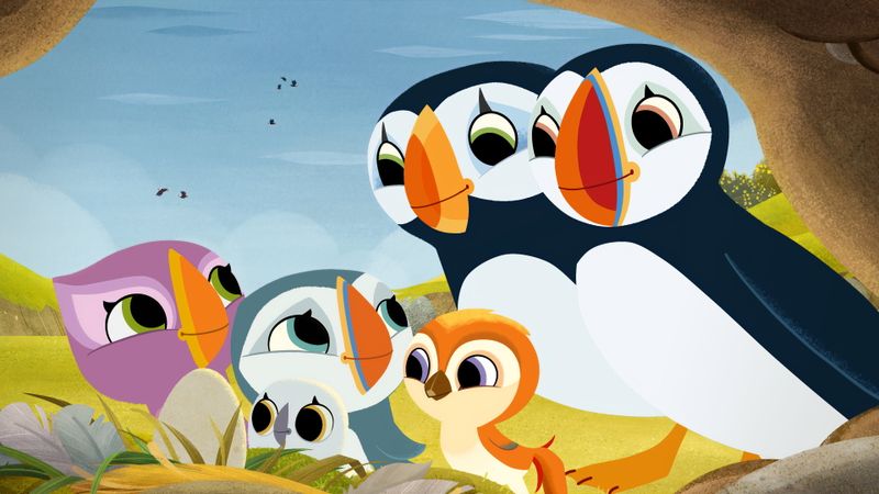 Nouveaux copains à Puffin Rock Backdrop Image