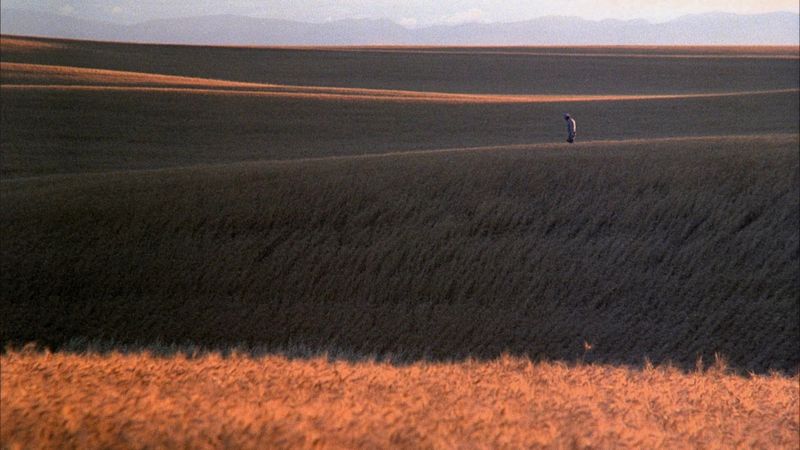 Days of Heaven Backdrop Image