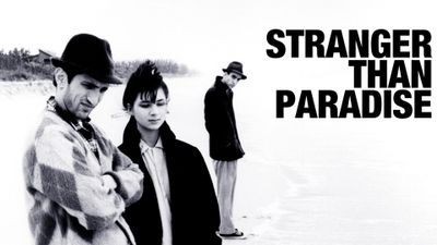 Stranger Than Paradise Poster Landscape Image