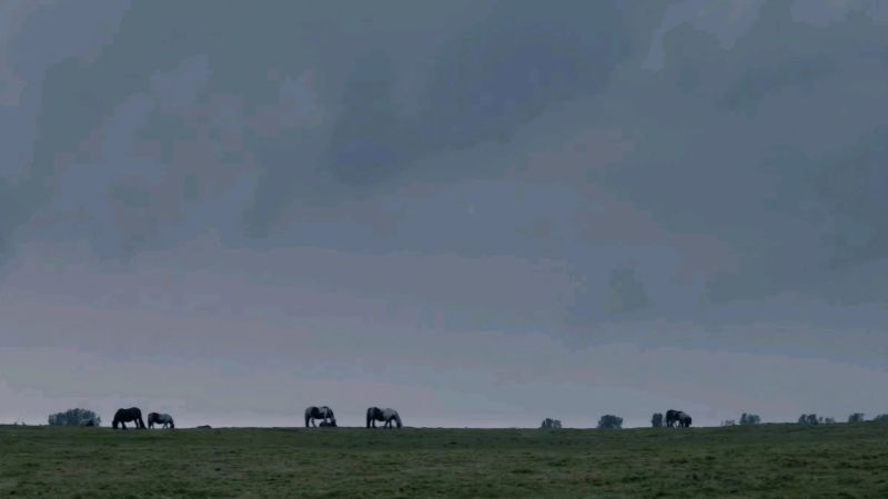 The Selfish Giant Backdrop Image