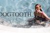 Dogtooth in English at cinemas in Paris