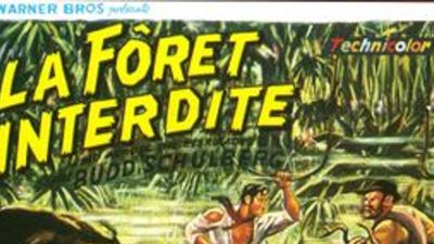 Le Démon des armes Poster Image