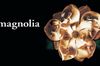 Magnolia in English at cinemas in Paris