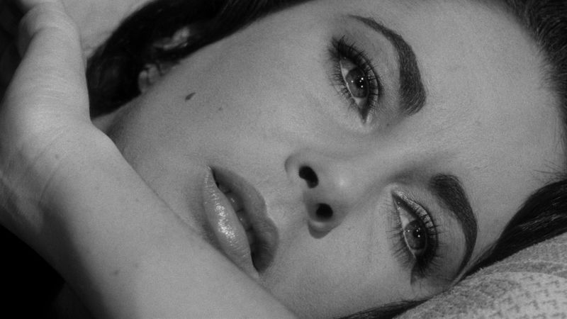 Suddenly, Last Summer Backdrop Image