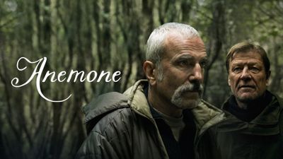 Anemone Poster Landscape Image