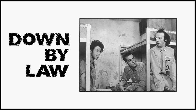 DOWN BY LAW SOUS LE COUP DE LA LOI Poster Landscape Image