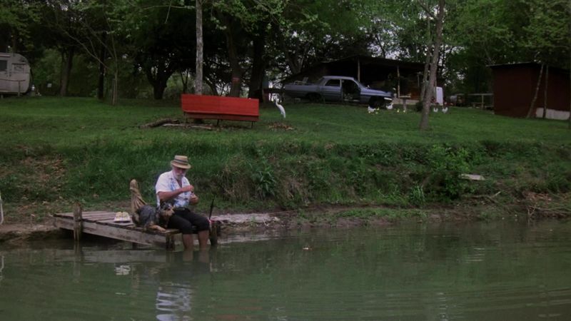 Piranha Backdrop Image